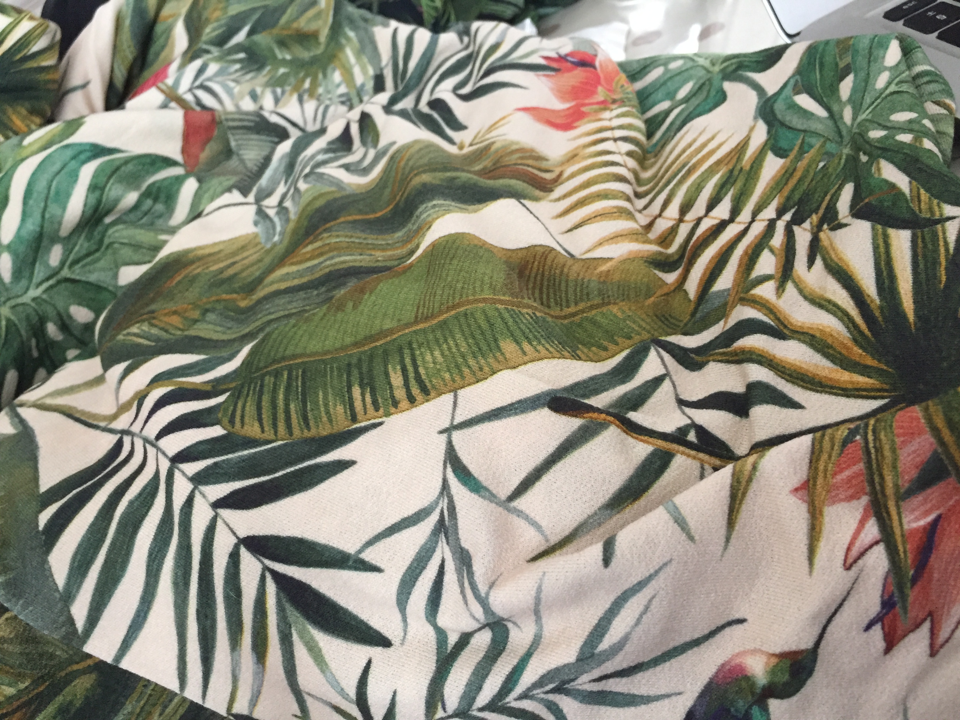 38722239_1479410205537520_7884995235976052736_n